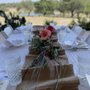 Photo of Diamond Vineyards