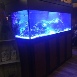Gulf Shores Restaurant & Grill - Fish tank