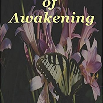 Taylor Supervised Visitation - My Book Available On Amazon - Psychologists Near Me - Newbury Park, California Taylor Supervised Visitation - My Book Available On Amazon - Psychologists Near Me - Newbury Park, California