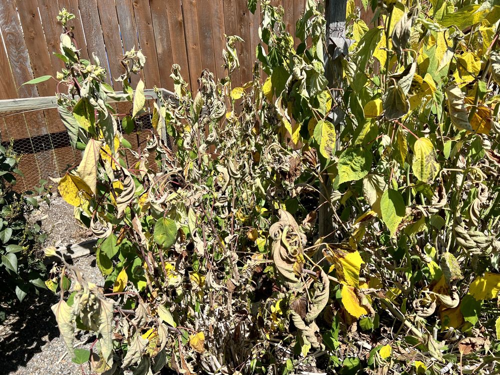 PHS Weed & Pest Control - tree service in Spokane, WA