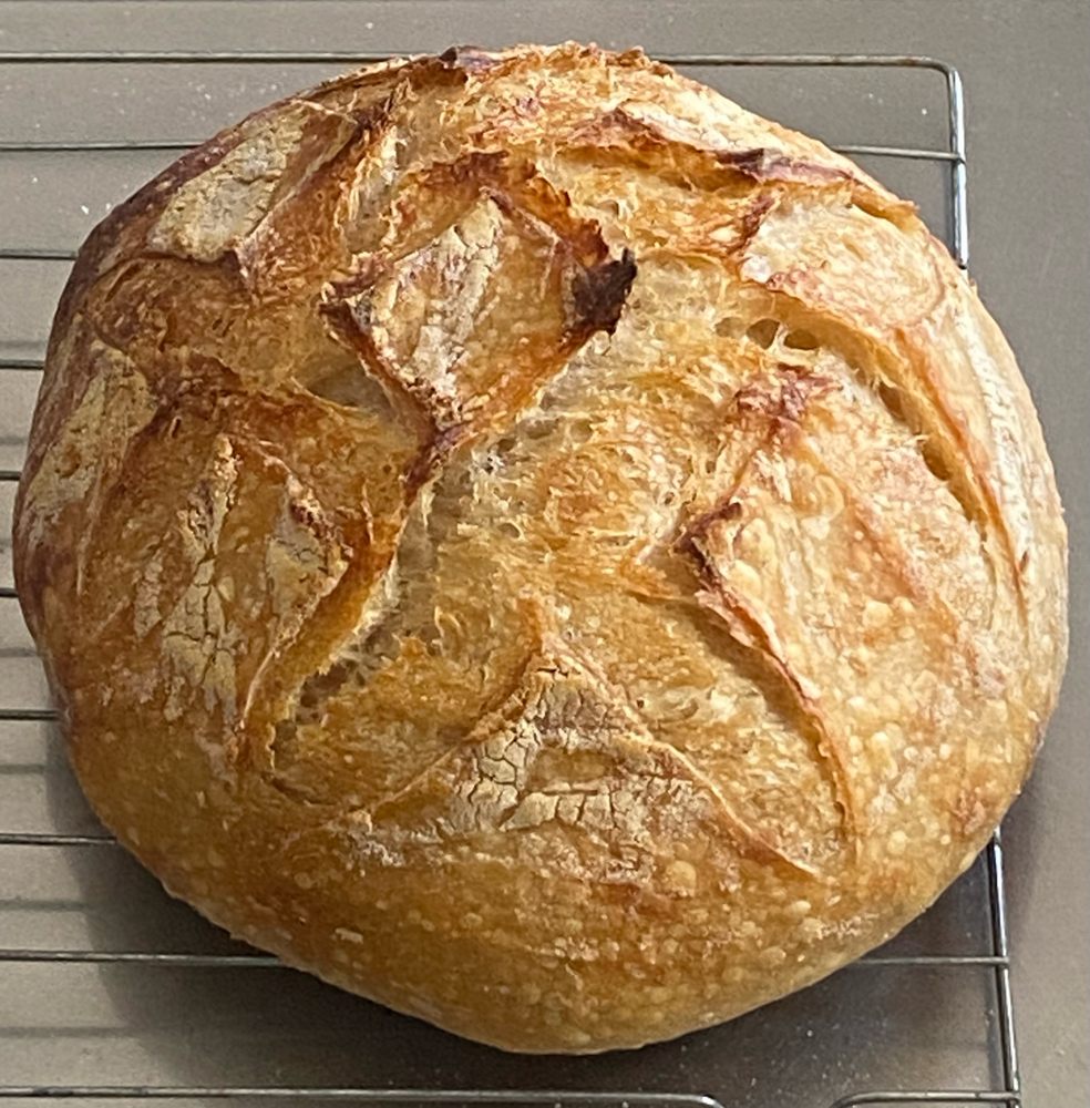 The Sourdough Shoppe