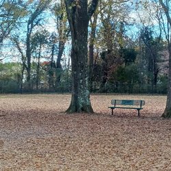 Bartow County - One of the random benches around the park