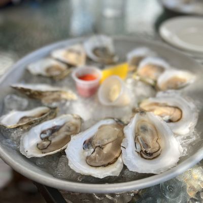 The Oyster Company by null