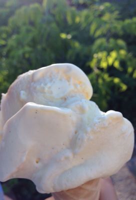 Nocny Market by null