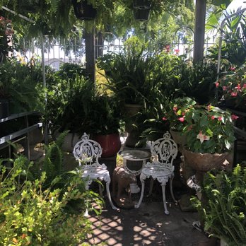 Big Greenhouse - Nurseries & Gardening Near Me - Greensboro, North Carolina Big Greenhouse - Nurseries & Gardening Near Me - Greensboro, North Carolina