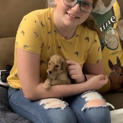 Chrison’s Standard Poodles - My Daughter with her favorite baby