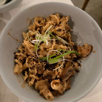 Yang’s Kitchen - Asian Fusion Near Me - Alhambra, California Yang’s Kitchen - Asian Fusion Near Me - Alhambra, California