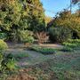 Photo of Hollywood Landscaping