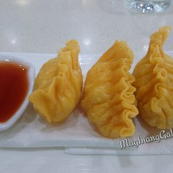 The Dimsum Place - Crispy fried shrimp dumplings