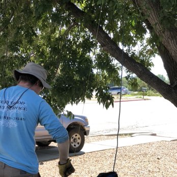 Very Good Tree Service - Setting up our climbing line in an Ash tree - Tree Services Near Me