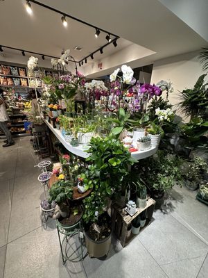 Fresh Picked by null