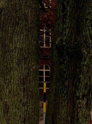 Sinebrychoff Park by null