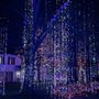 Photo of Mister McKinney's Lights Tours