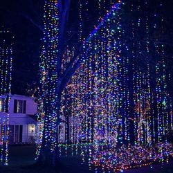 Mister McKinney's Lights Tours - Beautiful river oaks home
