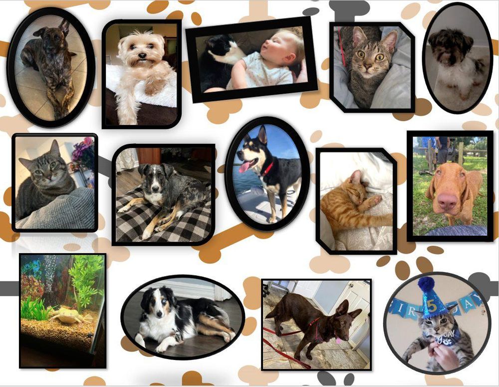 BRANT BLESSING STATE FARM INSURANCE AGENT Updated May 2024 21