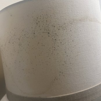 Flamingo Waterpark Resort - Black mold lampshade - Resorts Near Me - Kissimmee, Florida Flamingo Waterpark Resort - Black mold lampshade - Resorts Near Me - Kissimmee, Florida