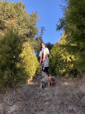 Castro Valley Christmas Tree Farm Temp Closed 34 Photos 64 Reviews Christmas Trees 7001 Miller Rd Castro Valley Ca Phone Number Yelp