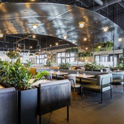 Earls Kitchen + Bar