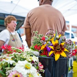 Easton Farmers Market
