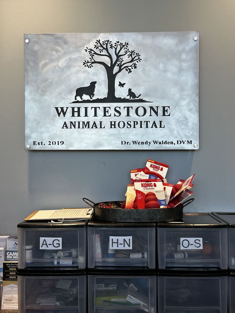 Whitestone Animal Hospital Image