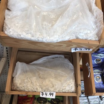 nour market - Pumpkin - Convenience Stores Near Me - Revere, Massachusetts nour market - Pumpkin - Convenience Stores Near Me - Revere, Massachusetts