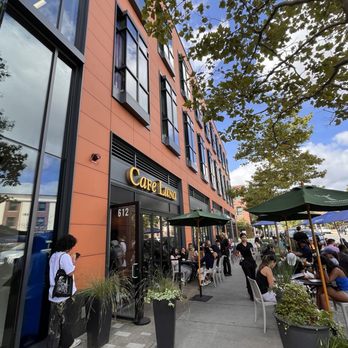 Café Luna - Exterior - Coffee & Tea Near Me - Cambridge, Massachusetts