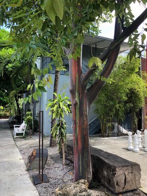Miami Ironside by null