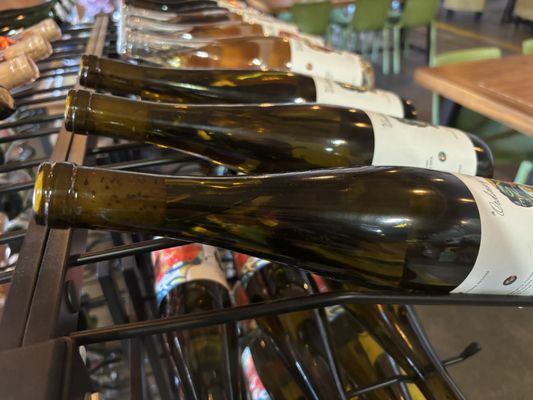 The Ordinary Fellow by null