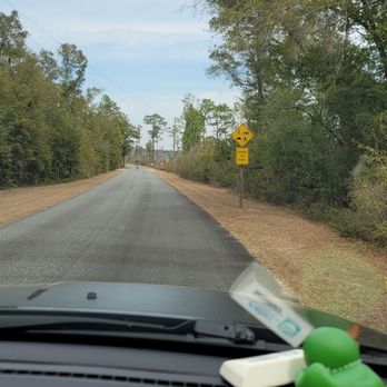 Torreya State Park - Parks Near Me - Bristol, Florida Torreya State Park - Parks Near Me - Bristol, Florida