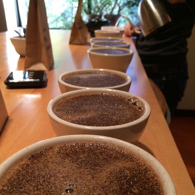 Barrington Coffee Roasting Company by null