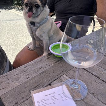 Montemar Wines - Wine tasting with my pug. - Wineries Near Me - Lompoc, California