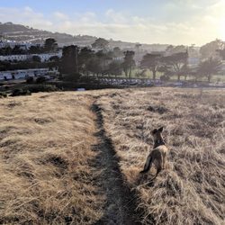 Crocker Amazon Dog Park
