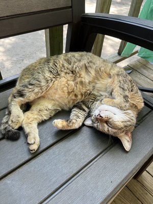 Canoe Outpost-Little Manatee River by null