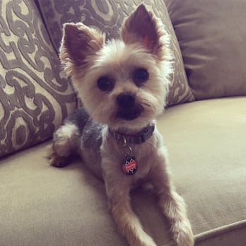 Barkhaus Mobile Pet Spa - Pet Groomers Near Me Barkhaus Mobile Pet Spa - Pet Groomers Near Me