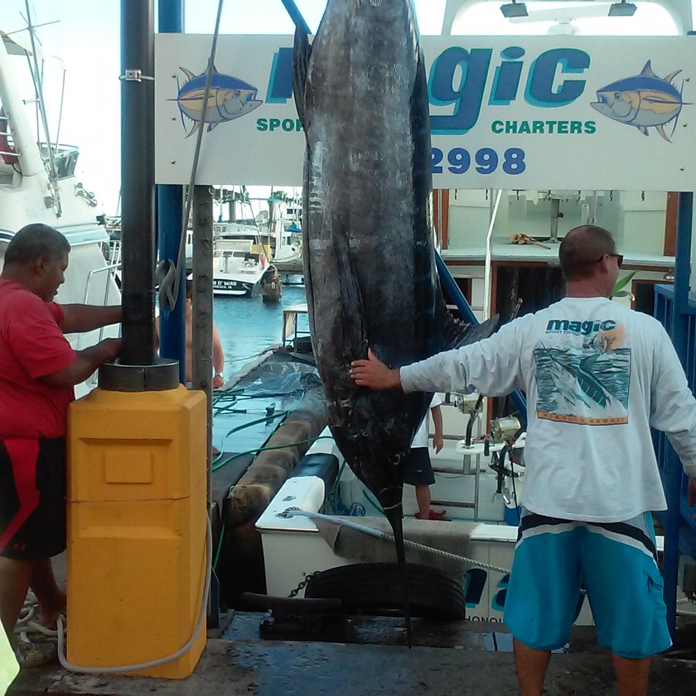 Kewalo Basin Harbor - 410 lb blue marlin - Boat Charters Near Me - Honolulu, Hawaii Kewalo Basin Harbor - 410 lb blue marlin - Boat Charters Near Me - Honolulu, Hawaii