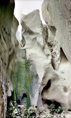 La Jolla Trail by null