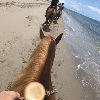 Tours on Horseback - Horseback Riding Near Me - Fort Pierce, Florida Tours on Horseback - Horseback Riding Near Me - Fort Pierce, Florida