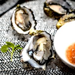 PAUSE - OYSTERS ON THE SPOT freshly shucked