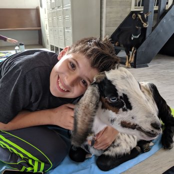 Goat Yoga Chicago - Yoga Near Me - Elgin, Illinois