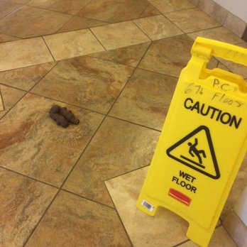 Dog Poop In The Halls Was Common Yelp