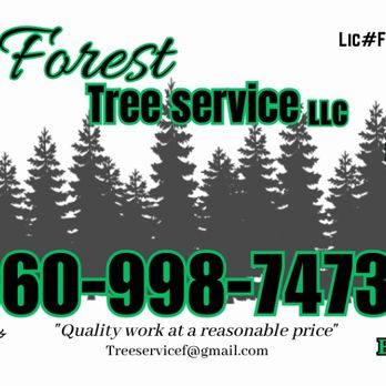 Forest Tree Service - Tree Services Near Me - Longview, Washington