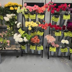 Allen's Flowers & Plants - Chula Vista