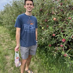 Heritage Orchard - Apple trees
