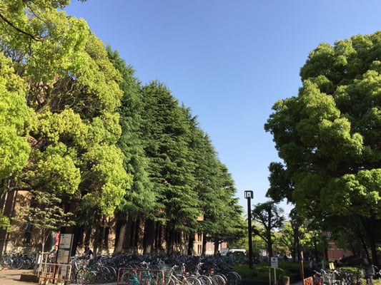 Kyoto University by null