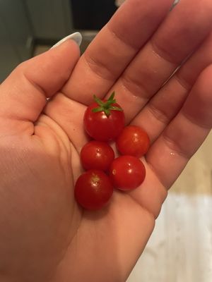 Little River Cooperative by null