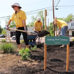 Debug Pest Control - Planting the Chepachet roundabout pollinator (for bees) garden in 2018.
