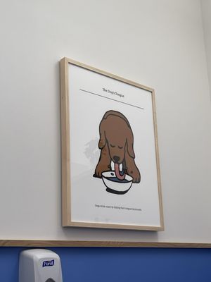 Modern Animal by null