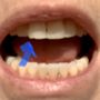 Pacific Endodontics