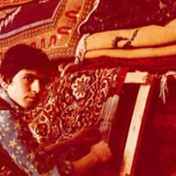 Ali Pishvaei Oriental Rug Expert Service - Persian rug reweaving