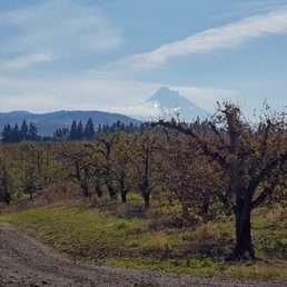 Just around the bend from the entrance to Phelps Creek's tasting room. And on the other side: a beautiful view of Mt. Adams